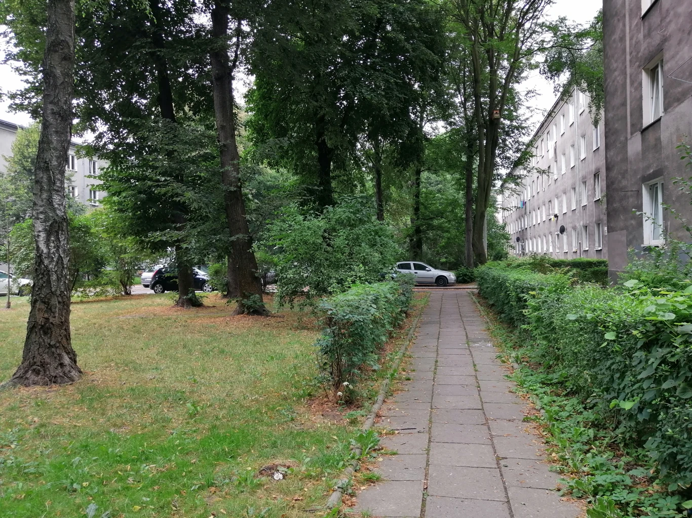 Huawei P Smart Z - przykładowe zdjęcia Huawei P Smart Z - przykładowe zdjęcia