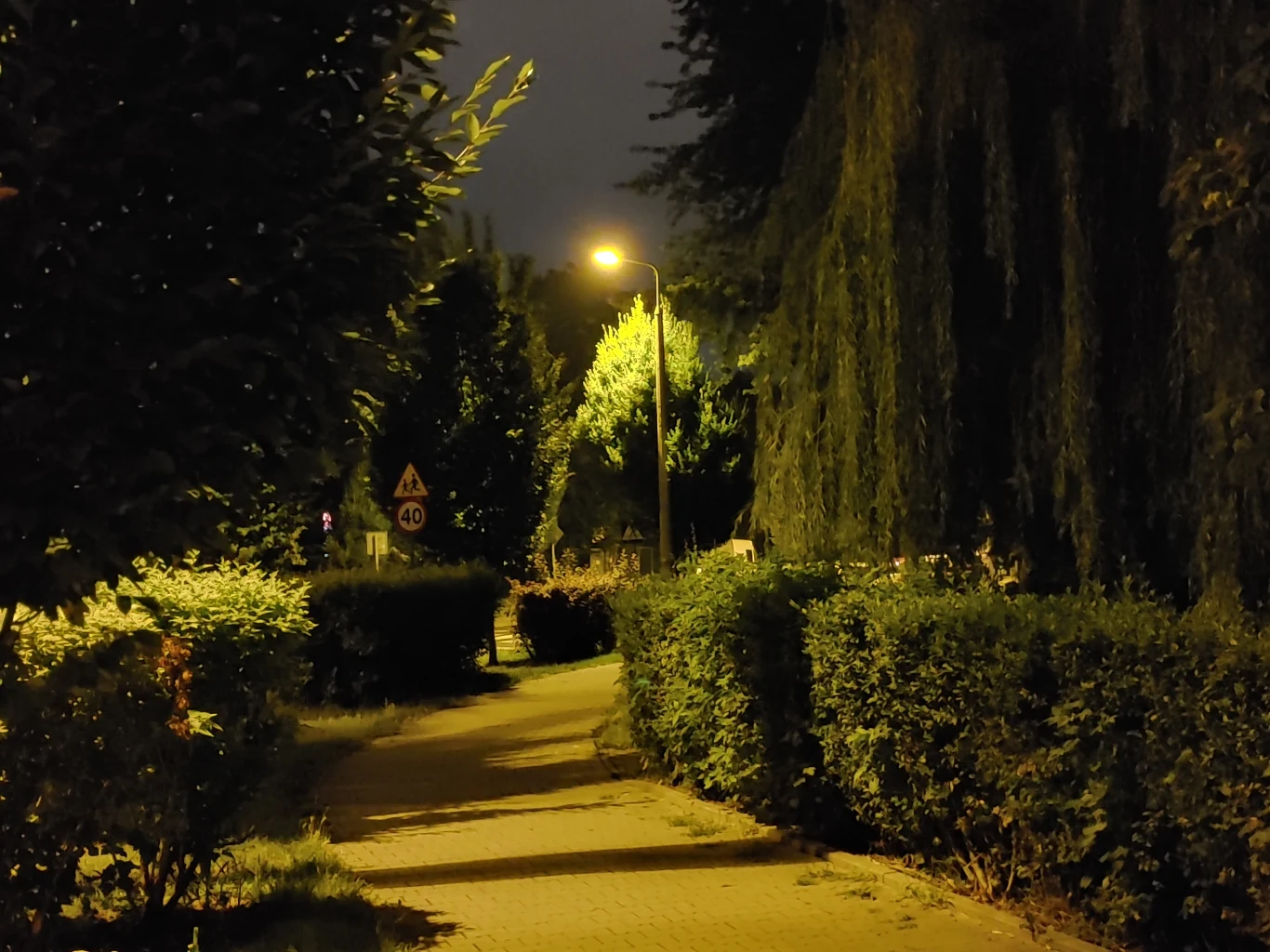 Zdjęcie wykonane LG8s 