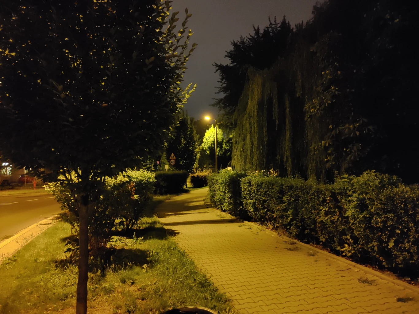 Zdjęcie wykonane LG8s 