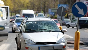 Dziś pieszy na przejściu ma pierwszeństwo, a i tak chodzi do potrąceń. Co się stanie, jeśli będzie miał "jeszcze więcej" pierwszeństwa?