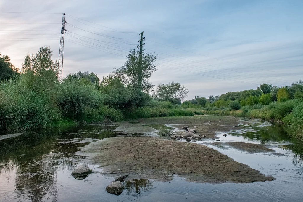 Gdy lustro wody w naszej strefie klimatycznej spada poniżej 40 centymetrów, rzeka przestaje być rzeką, bo przestaje płynąć Gdy lustro wody w naszej strefie klimatycznej spada poniżej 40 centymetrów, rzeka przestaje być rzeką, bo przestaje płynąć