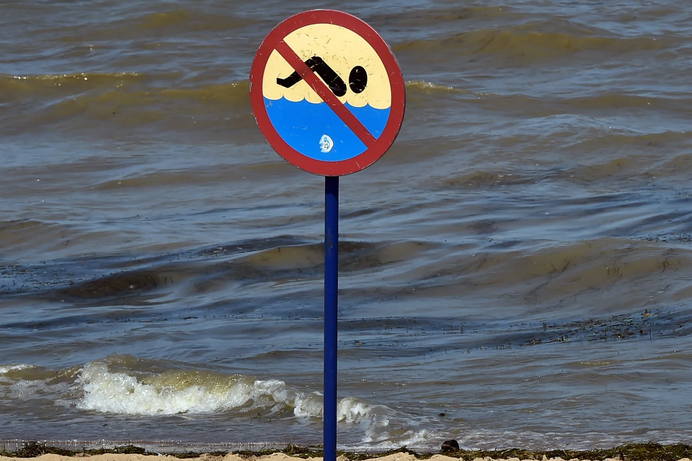 Sinice namnażają się gwałtownie w momencie, gdy woda osiąga wysoką temperaturę - ok. 18-20 stopni Celsjusza i gdy w wodzie, w której żyją, jest dużo związków azotu i fosforu, które spływają z pól uprawnych do Bałtyku rzekami.