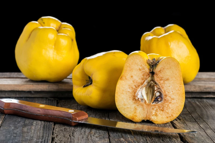 Mus z pigwy dla stawów - owoc leczy reumatyzm i zapobiega podagrze. Dzięki wysokiemu stężeniu witamin oraz mikroelementów wzmacnia odporność, pomaga też pozbyć się kłopotów z trawieniem i wrzodów żołądka. Jak zrobić mus pigwowy? Obierz kilogram owoców z pigwy, pokrój, przełóż do garnka, zalej połową szklanki wody i gotuj na wolnym ogniu. Mieszaj od czasu do czasu. Gdy owoce zmiękną, zestaw garnek z gazu, a pigwę zmiksuj na mus. Przełóż go do słoiczków i pasteryzuj. W razie dolegliwości jedz dwie łyżki musu dziennie. Jeśli chorujesz na anemię, spożywaj pigwę na surowo albo pij nalewkę. Mus z pigwy dla stawów - owoc leczy reumatyzm i zapobiega podagrze. Dzięki wysokiemu stężeniu witamin oraz mikroelementów wzmacnia odporność, pomaga też pozbyć się kłopotów z trawieniem i wrzodów żołądka. Jak zrobić mus pigwowy? Obierz kilogram owoców z pigwy, pokrój, przełóż do garnka, zalej połową szklanki wody i gotuj na wolnym ogniu. Mieszaj od czasu do czasu. Gdy owoce zmiękną, zestaw garnek z gazu, a pigwę zmiksuj na mus. Przełóż go do słoiczków i pasteryzuj. W razie dolegliwości jedz dwie łyżki musu dziennie. Jeśli chorujesz na anemię, spożywaj pigwę na surowo albo pij nalewkę.