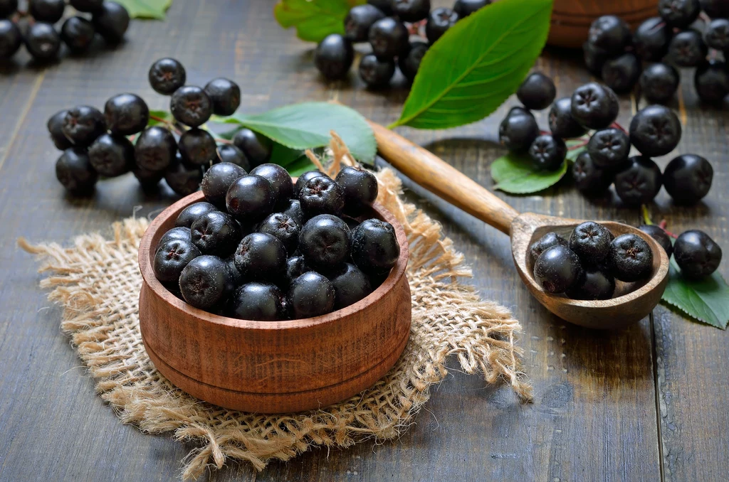 Owoce aronii to naturalne lekarstwo na nadciśnienie i miażdżycę