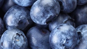 Duży wzrost cen borówki amerykańskiej, kilogram w hurcie kosztuje obecnie ok. 40 zł