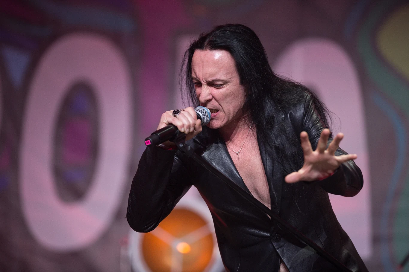 Zobacz zdjęcia z nocnego koncertu Renaty Przemyk na scenie ASP podczas Pol'and'Rock Festival 2019