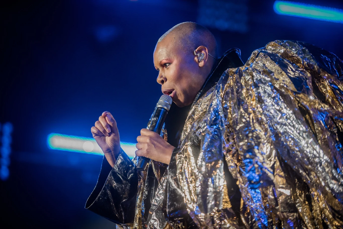Zobacz zdjęcia z koncertu Skunk Anansie na Dużej Scenie Pol'and'Rock Festival 2019 Zobacz zdjęcia z koncertu Skunk Anansie na Dużej Scenie Pol'and'Rock Festival 2019