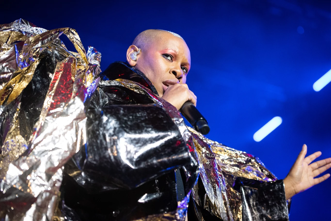Zobacz zdjęcia z koncertu Skunk Anansie na Dużej Scenie Pol'and'Rock Festival 2019 Zobacz zdjęcia z koncertu Skunk Anansie na Dużej Scenie Pol'and'Rock Festival 2019