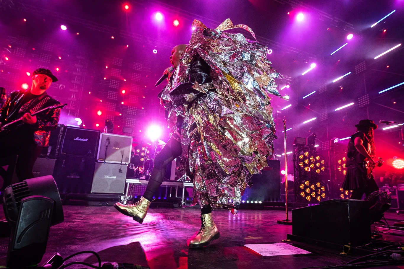 Zobacz zdjęcia z koncertu Skunk Anansie na Dużej Scenie Pol'and'Rock Festival 2019 Zobacz zdjęcia z koncertu Skunk Anansie na Dużej Scenie Pol'and'Rock Festival 2019