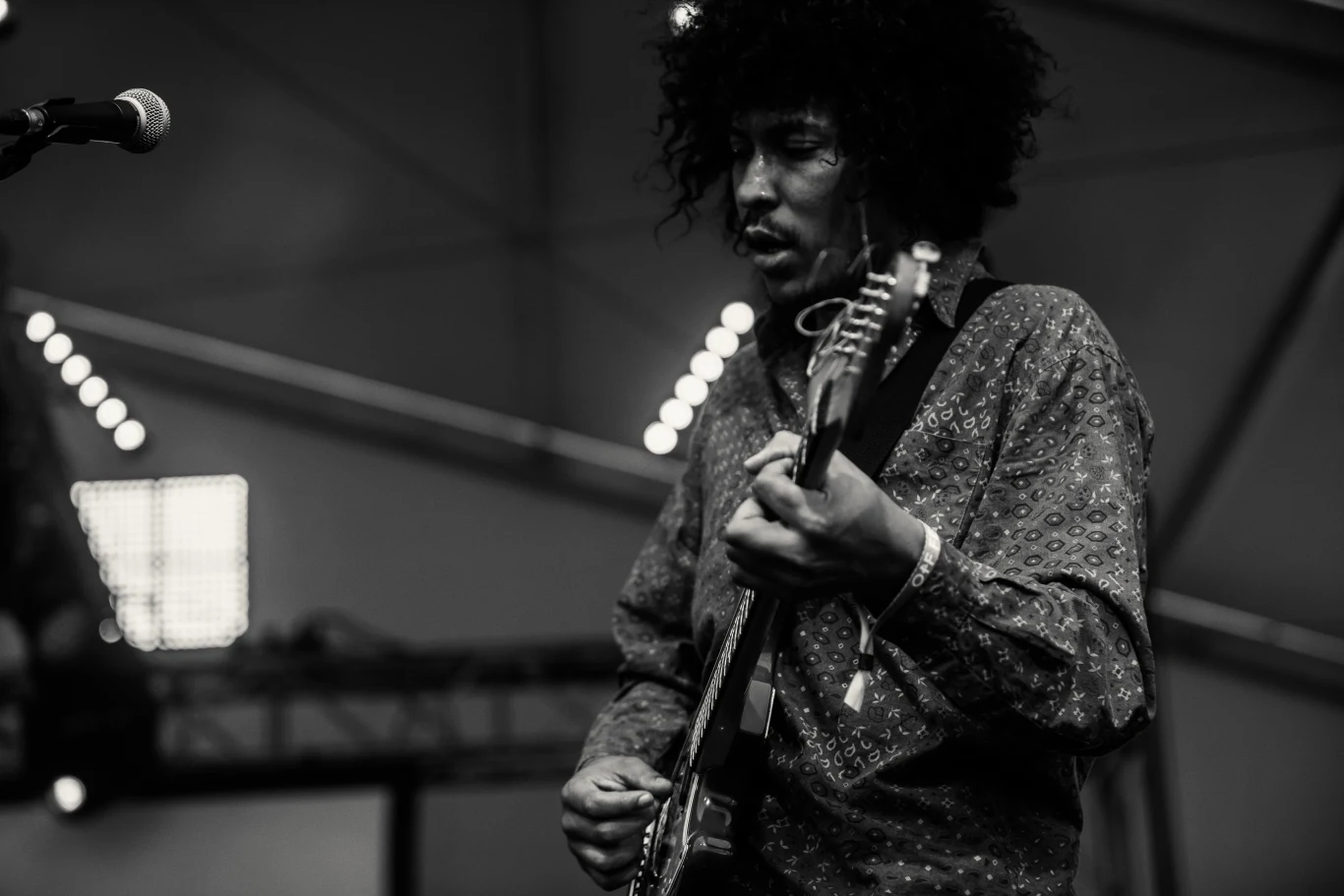 Boogarins