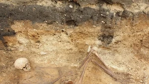 Pruszcz Gdański: Znaleziono szkielet kobiety sprzed kilkuset lat