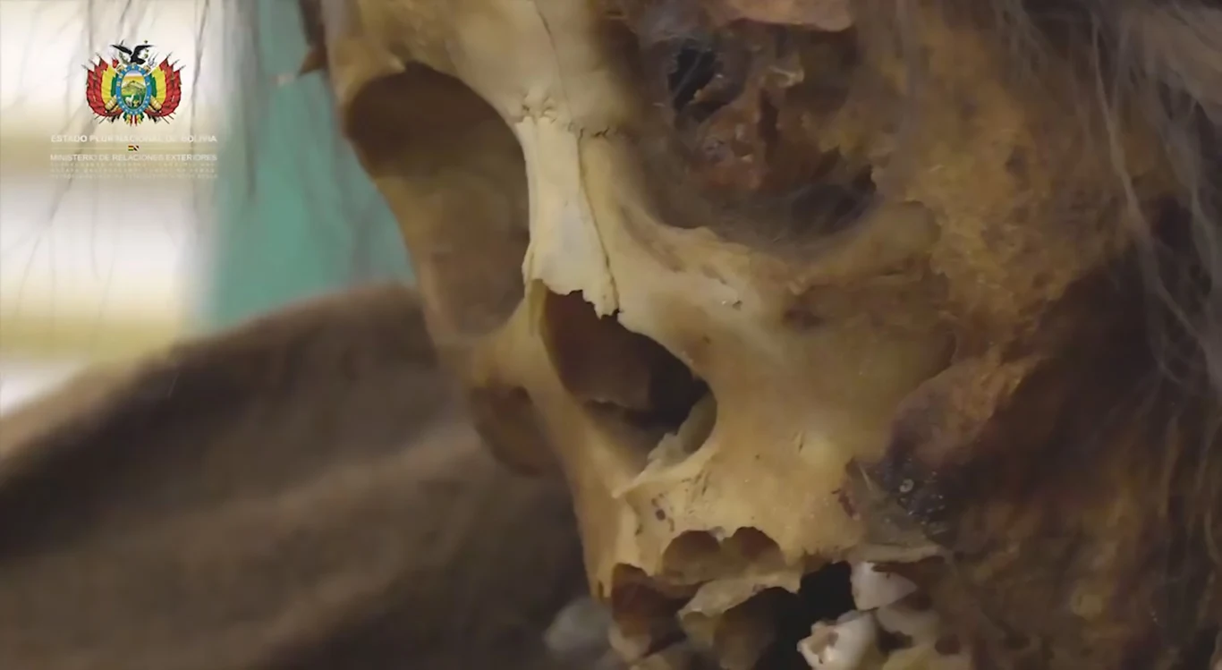 Minister kultury Boliwii, Wilma Alanoca zapowiada, że mumia znajdzie się wśród najważniejszych eksponatów narodowego muzeum archeologii w La Paz.