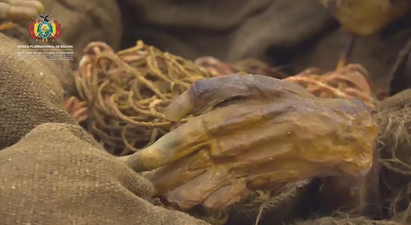 Zmumifikowana dziewczynka została odnaleziona w miasteczku Pacajes, w prowincji La Paz wraz z towarzyszącymi jej jeszcze za życia drobnymi przedmiotami i włożonymi do grobowca małymi kamieniami. Przyczyny śmierci dziecka naukowcy dotąd nie byli w stanie ustalić.