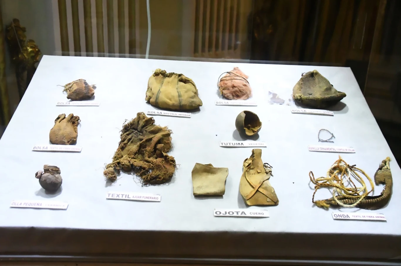 Akcja "repatriacji" szczątków nie kończy się jedynie na mumii. Boliwii udało się także odzyskać 42 okazy paleontologiczne, które w 2016 roku z kraju wywiózł zatrzymany w Chile obywatel Malezji. 