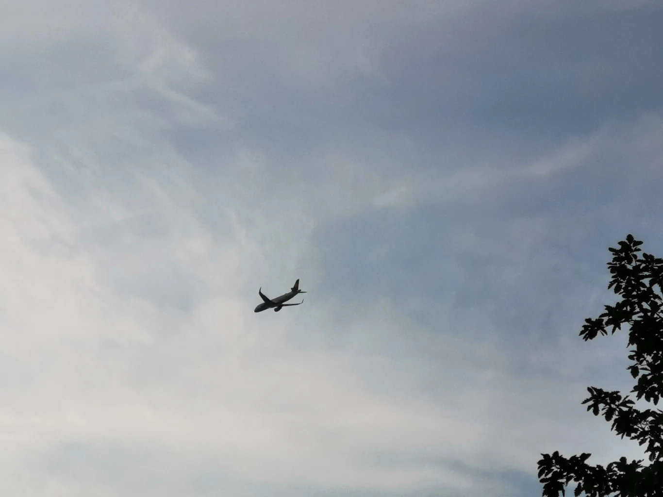 Honor 20 Pro - przykładowe zdjęcie Honor 20 Pro - przykładowe zdjęcie