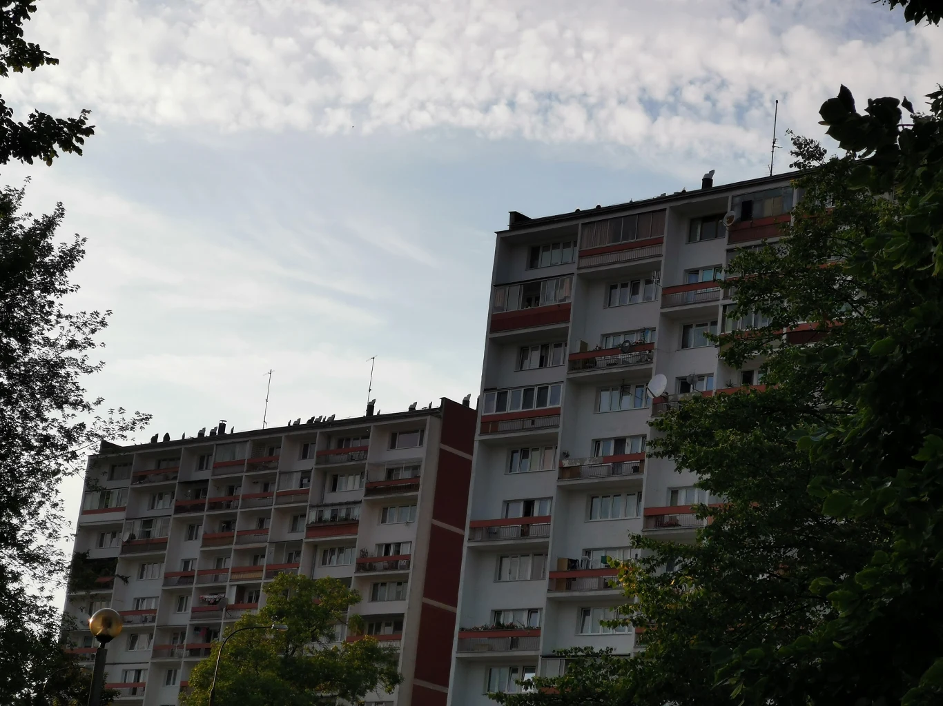 Honor 20 Pro - przykładowe zdjęcie Honor 20 Pro - przykładowe zdjęcie