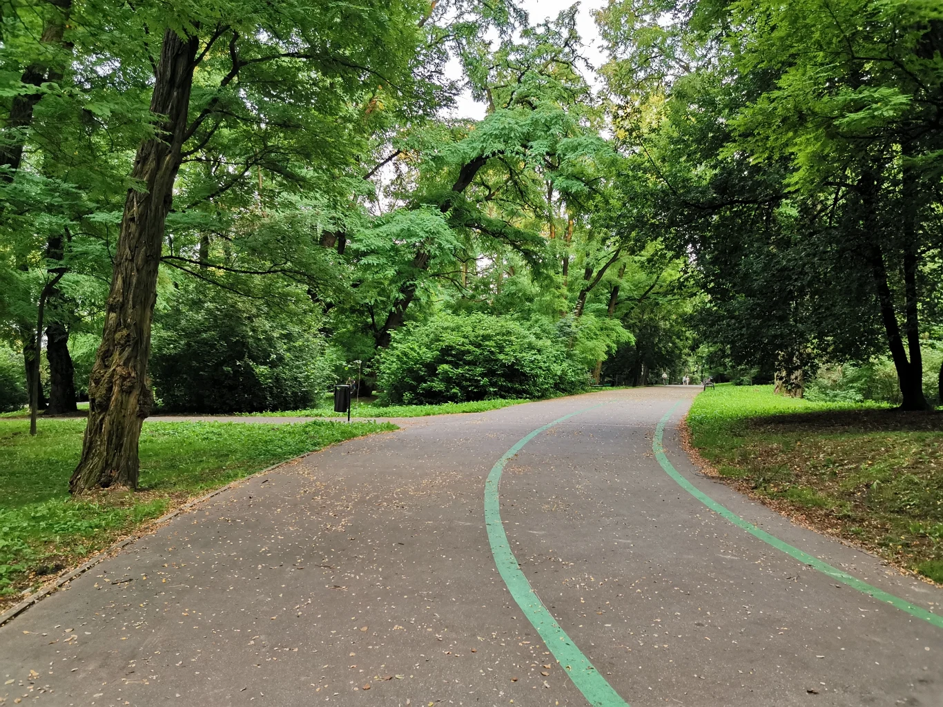 Honor 20 Pro - przykładowe zdjęcie Honor 20 Pro - przykładowe zdjęcie