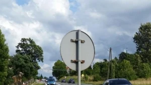 Pies był przywiązany do znaku drogowego