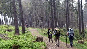 Turyści na szlaku w Beskidach, zdjęcie ilustracyjne
