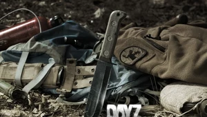 DayZ