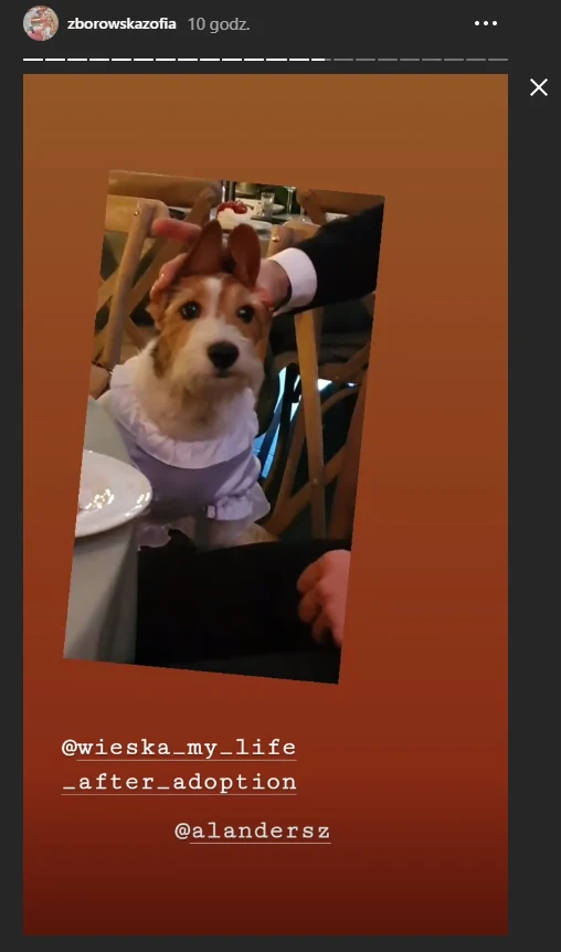 Gwiazda wieczoru - Wieśka