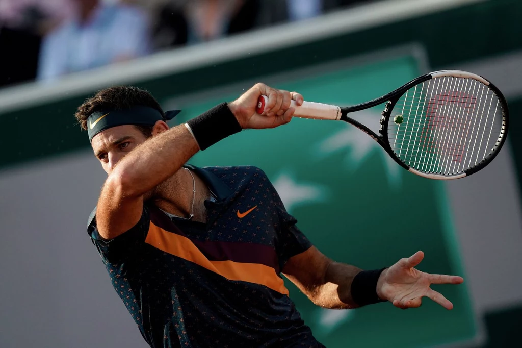 Juan Martin del Potro