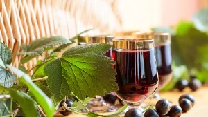 Dbają o serce i jelita, a do tego wspierają odporność. Zrób z nich sok, póki trwa sezon 