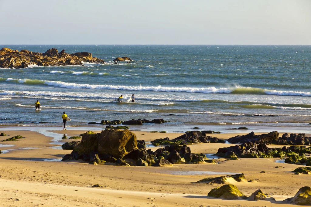 Na plaże w Porto bez problemu dojedziemy z centrum komunikacją miejską