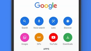 Google Go – lżejsza wersja wyszukiwarki dostępna