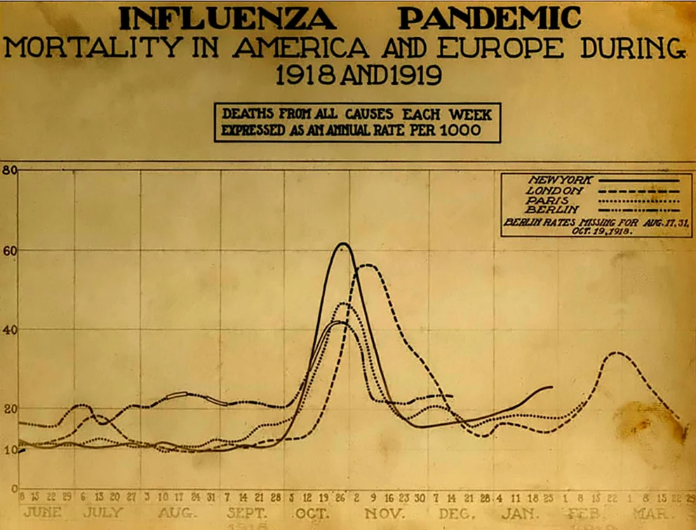 Wykres ukazujący śmiertelność wywołany pandemią hiszpanki w latach 1918-19 w Europie i Ameryce Wykres ukazujący śmiertelność wywołany pandemią hiszpanki w latach 1918-19 w Europie i Ameryce