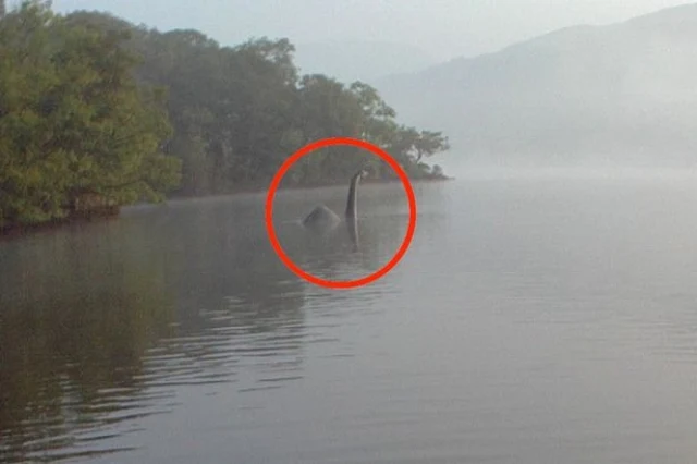 Czy Nessie to tylko wytwór popkultury? Kolejne ekspedycje poszukiwawcze chcą udowodnić, że nie Czy Nessie to tylko wytwór popkultury? Kolejne ekspedycje poszukiwawcze chcą udowodnić, że nie