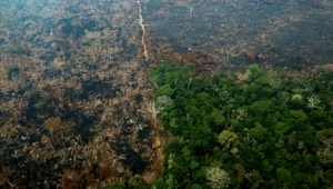 ​Brazylia: Dymisje za wykrycie sprawców tysięcy pożarów Puszczy Amazońskiej