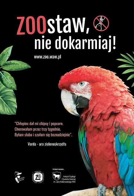 Plakat pochodzi z kampanii "ZOOstaw, nie dokarmiaj" organizowanej przez warszawskie zoo