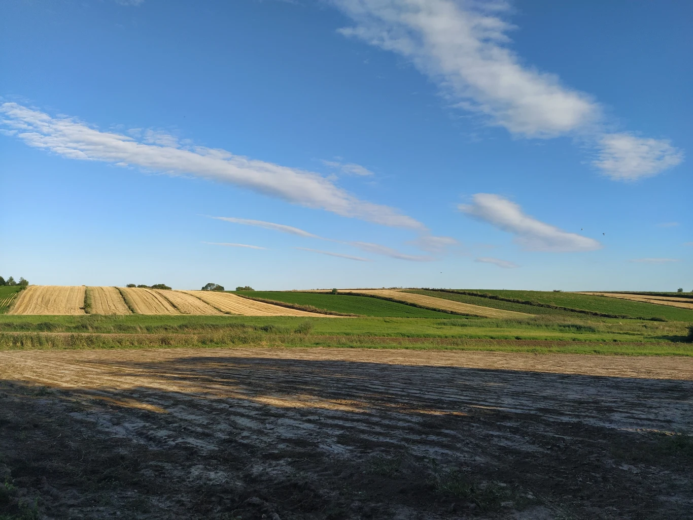 Przykładowe zdjęcie wykonane Xiaomi Mi A3