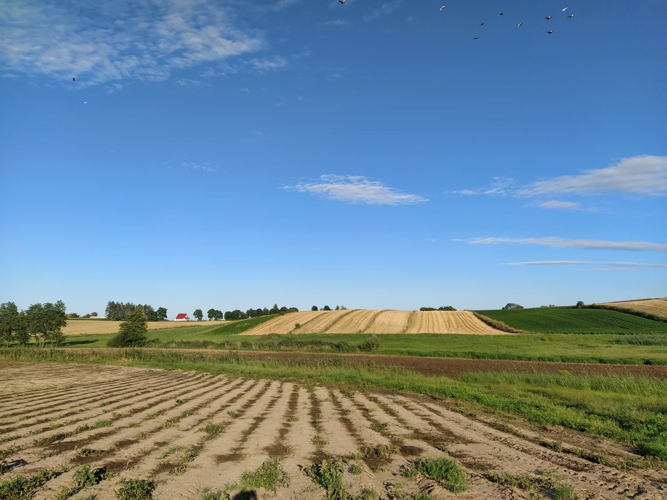 Przykładowe zdjęcie wykonane Xiaomi Mi A3