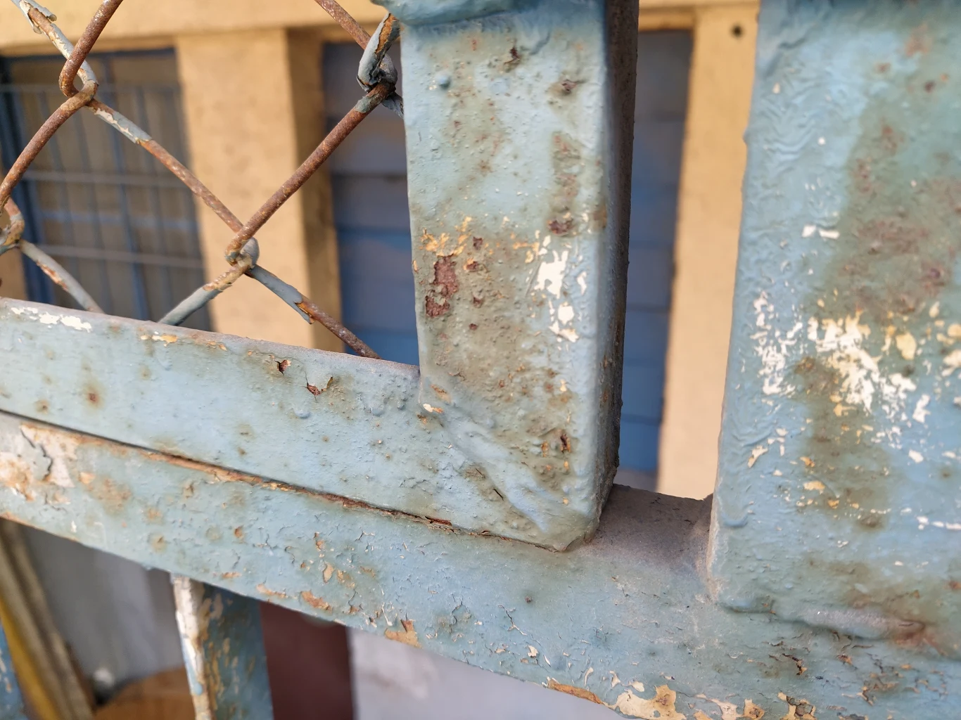 Przykładowe zdjęcie wykonane Xiaomi Mi A3