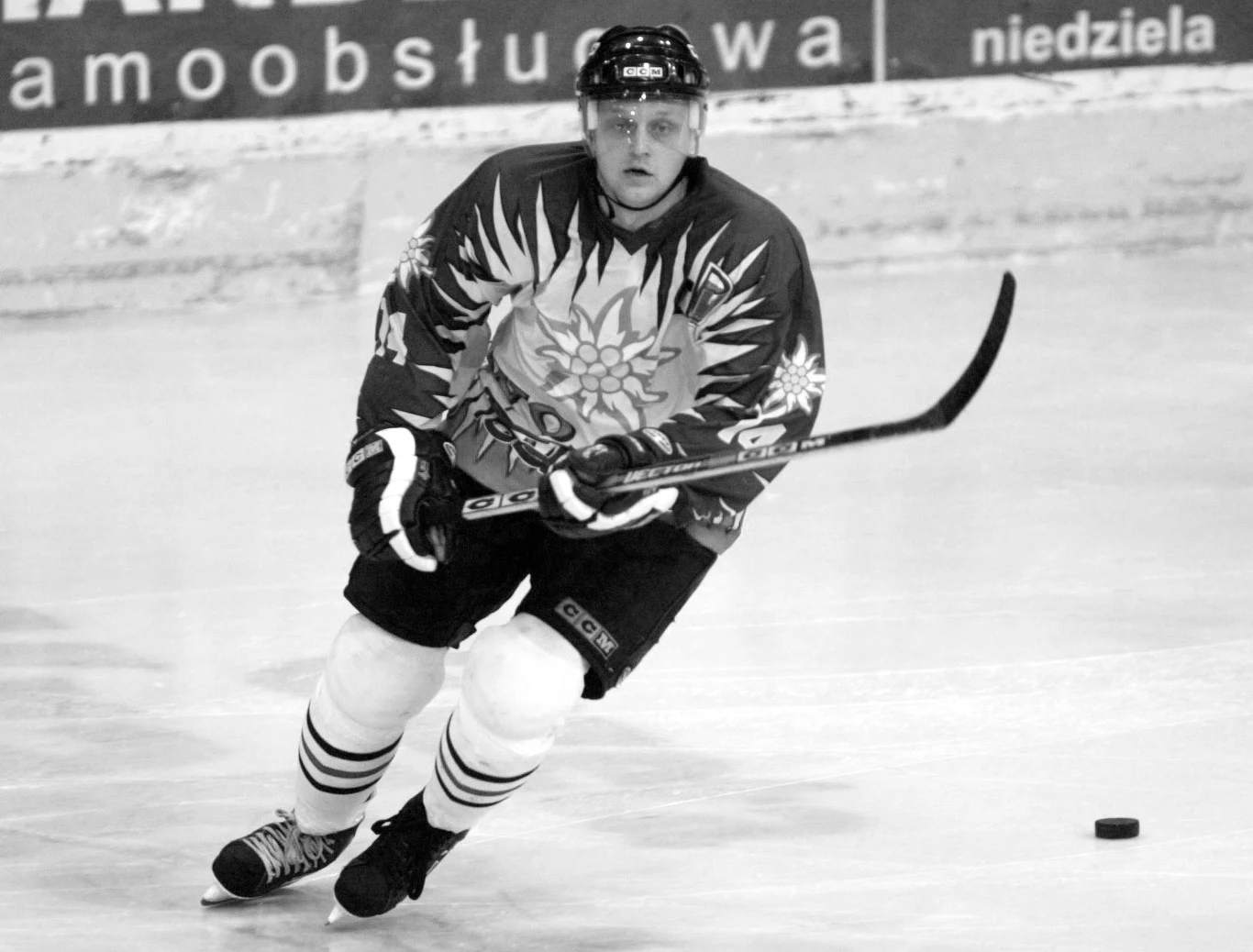 Janusz Hajnos Janusz Hajnos