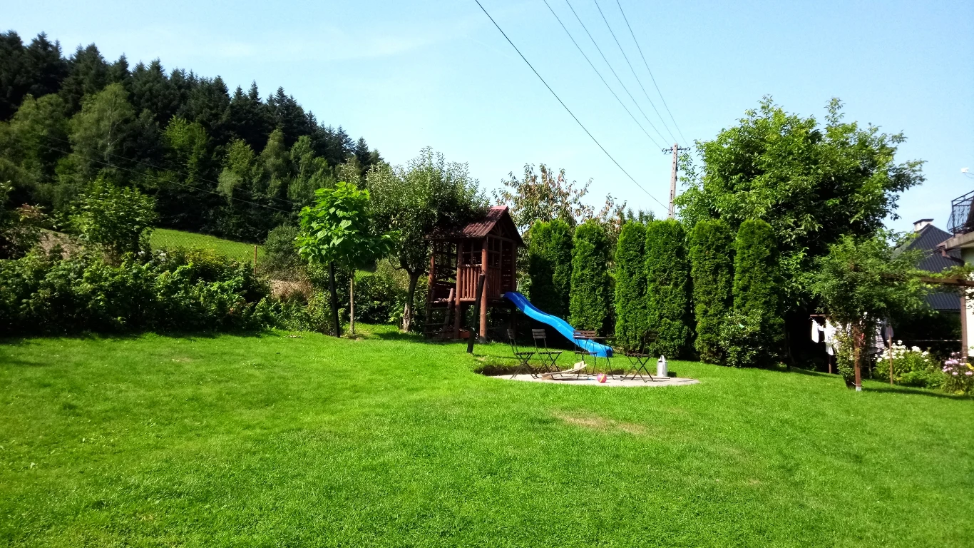 Zdjęcie wykonane TP-Link Neffos X20