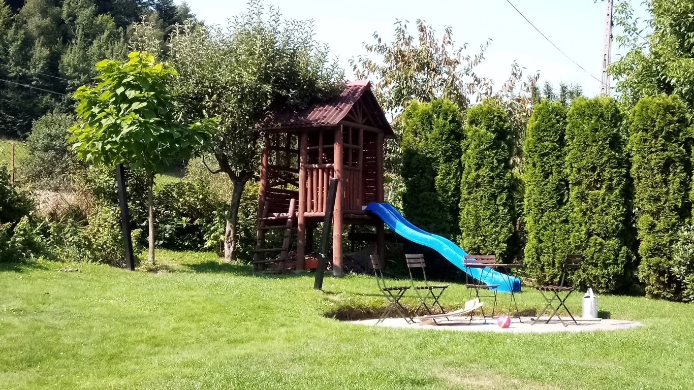 Zdjęcie wykonane TP-Link Neffos X20