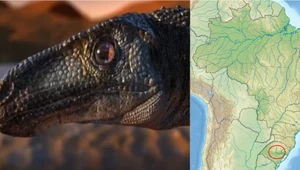 ​Prehistoryczna równowaga. Nowo odkryty gatunek dinozaura ma w sobie coś dziwnego...