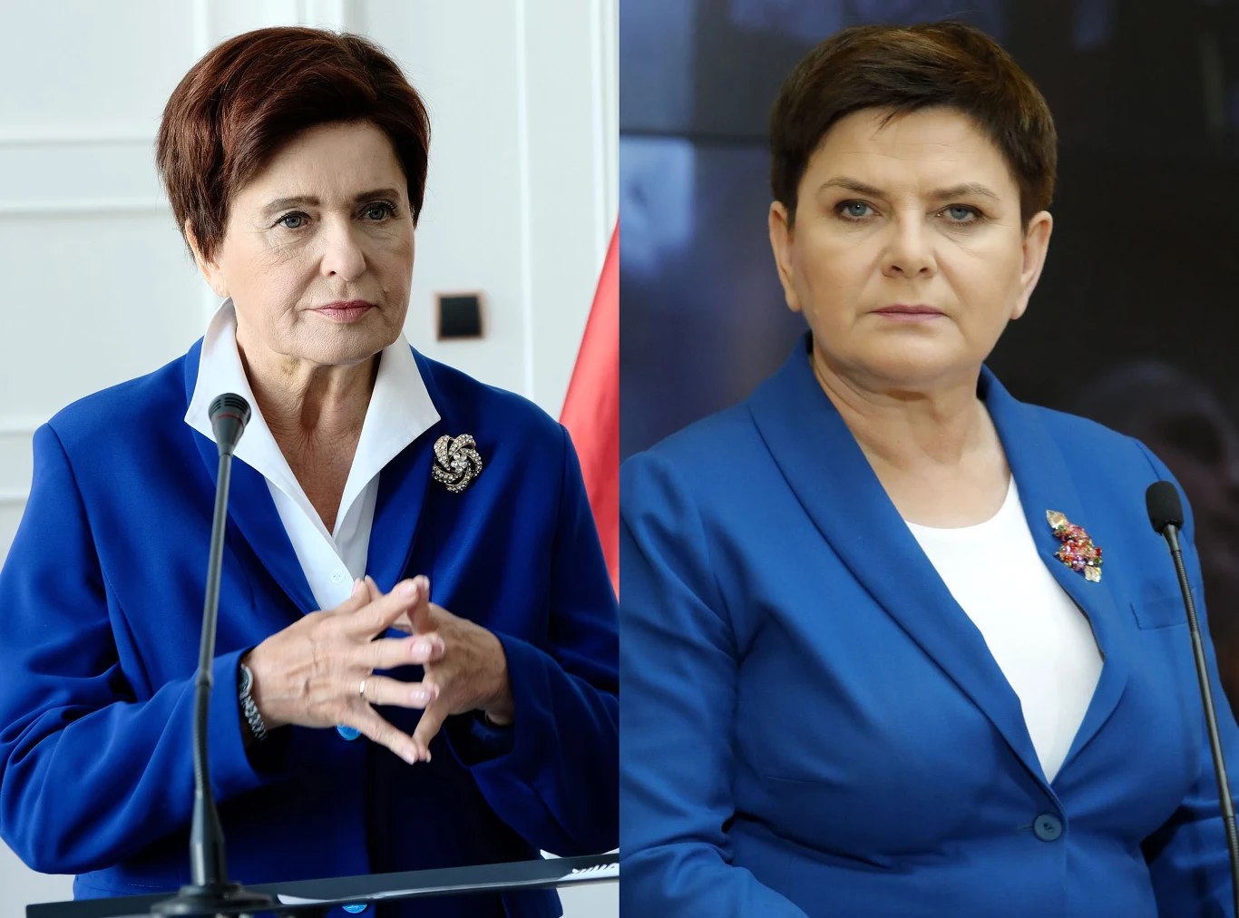 Mimo iż do samego dnia premiery dystrybutor i reżyser filmu nie podają do publicznej wiadomości szczegółów fabuły "Polityki", ekranowi bohaterowie noszą zaś inne nazwiska i pseudonimy niż prawdziwe postaci polskiej sceny politycznej, bez trudu możemy dopasować wizerunki bohaterów filmu do prawdziwych polityków.

Ewa Kasprzyk gra w filmie Vegi postać o imieniu Jadwiga, nietrudno jednak odgadnąć, że będzie to ekranowy odpowiednik Beaty Szydło.