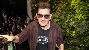 Charlie Sheen: Refleksje skandalisty