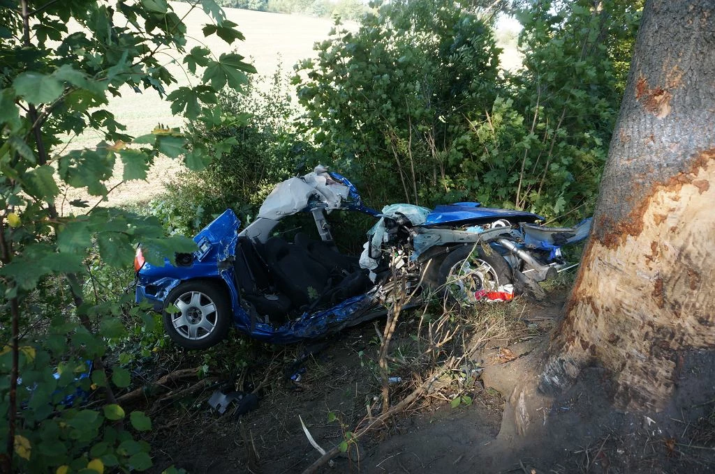 Subaru uderzyło w drzewo