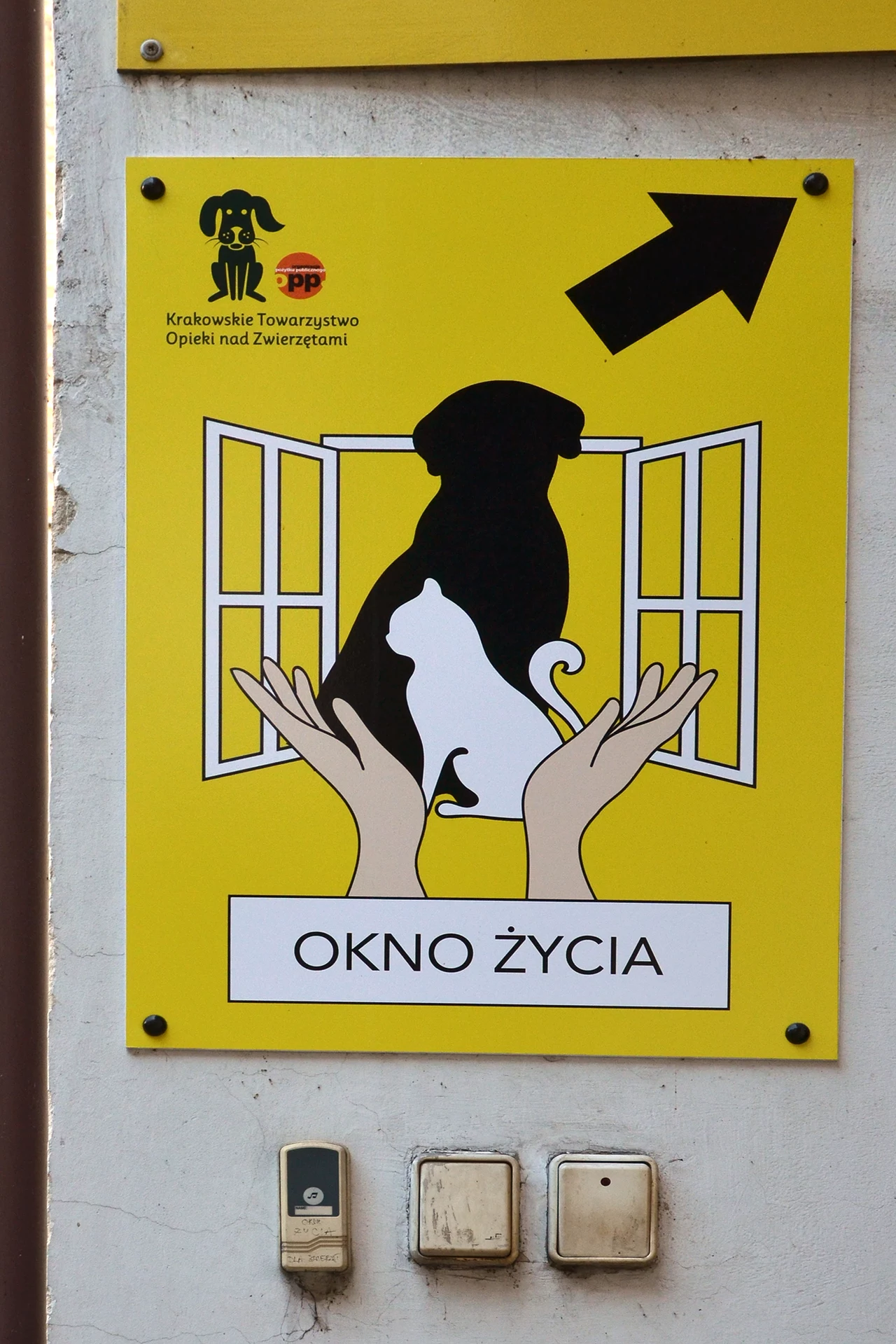 Trafiają tam nie tylko psy i koty, ale także gryzonie, ptaki, płazy i gady. Trafiają tam nie tylko psy i koty, ale także gryzonie, ptaki, płazy i gady.