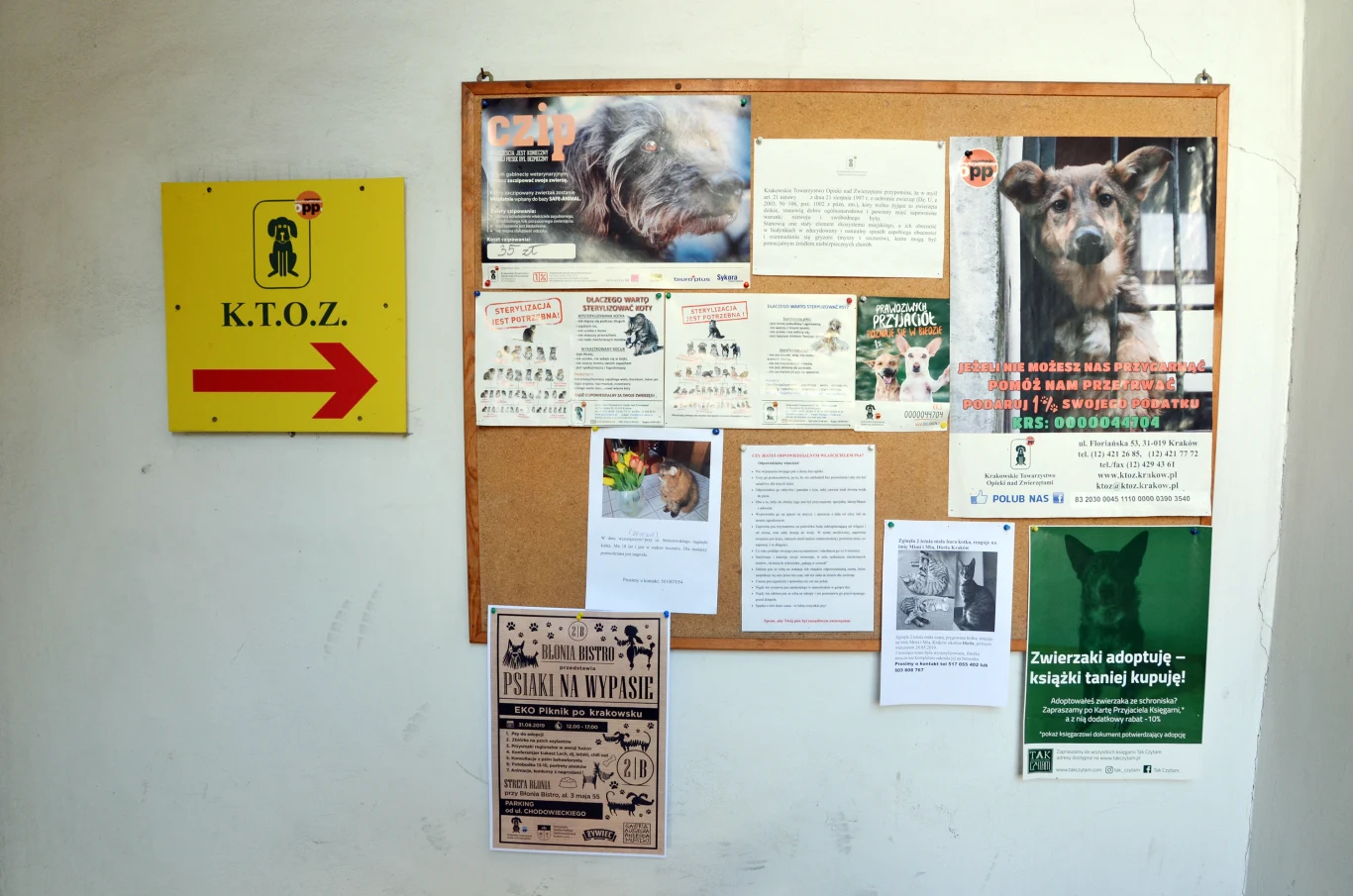 Jest to zupełnie anonimowe.