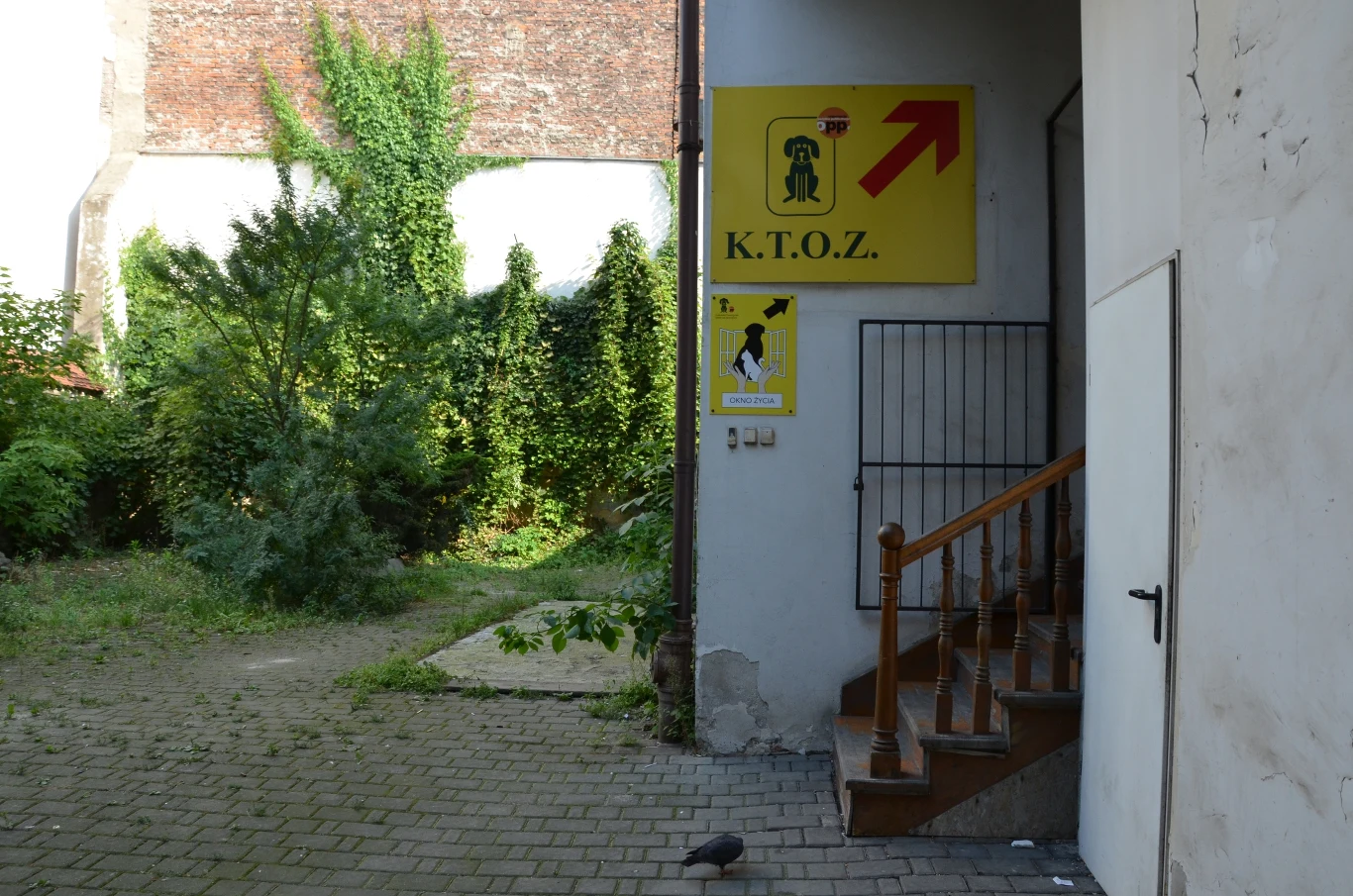 "Okno życia dla zwierząt" znajduje się przy ul. Floriańskiej 53.