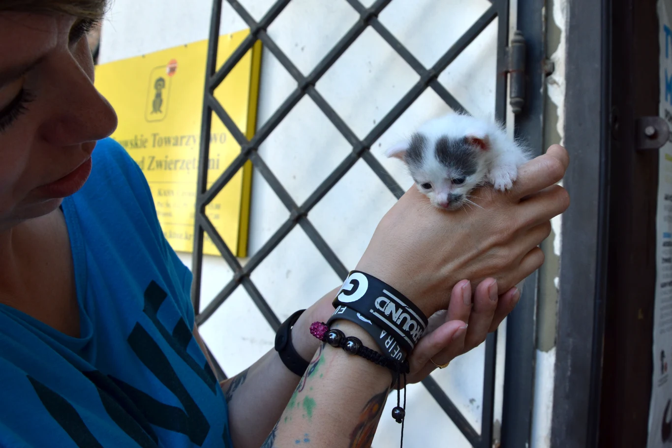 Aby pomóc KTOZ, można przekazać 1 proc. podatku na zwierzęta będące pod ich opieką