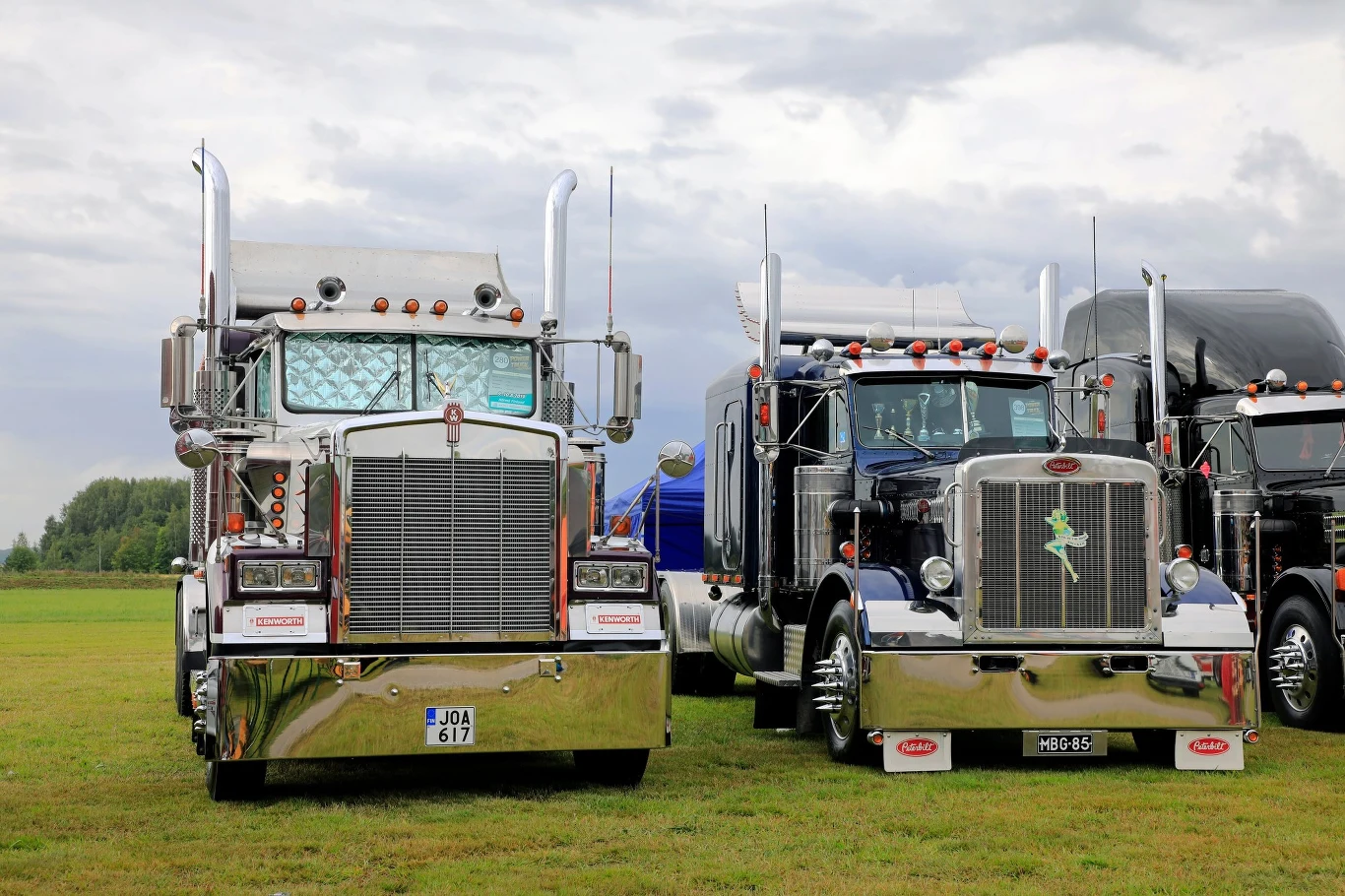 Kenworth W900B i Peterbilt 359 / Fot: Taina Sohlman/agefotostock