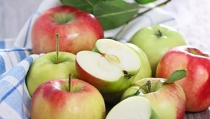 Jabłka w roli głównej. Które odmiany są najpopularniejsze, a które zanikają?