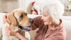 Psy pomagają zdiagnozować poważne choroby